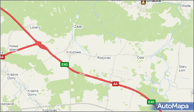 mapa Różyniec, Różyniec na mapie Targeo