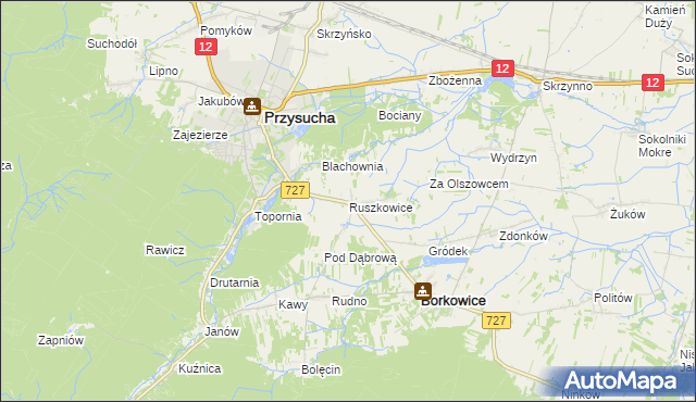 mapa Ruszkowice gmina Borkowice, Ruszkowice gmina Borkowice na mapie Targeo