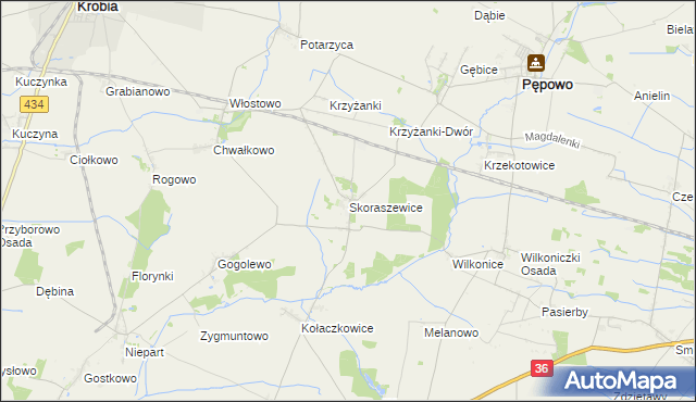 mapa Skoraszewice, Skoraszewice na mapie Targeo