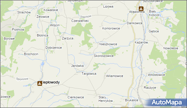 mapa Skoroszowice, Skoroszowice na mapie Targeo