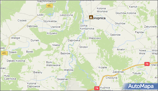 mapa Strobin, Strobin na mapie Targeo