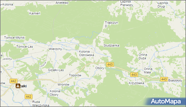 mapa Świerczyna gmina Gizałki, Świerczyna gmina Gizałki na mapie Targeo