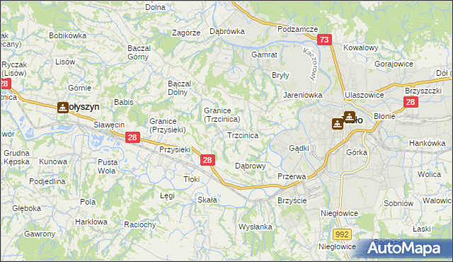 mapa Trzcinica gmina Jasło, Trzcinica gmina Jasło na mapie Targeo