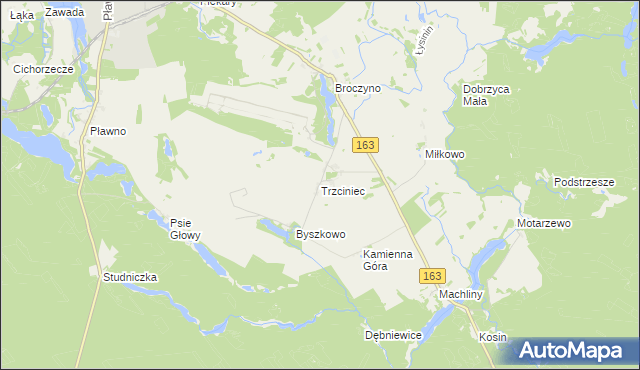 mapa Trzciniec gmina Czaplinek, Trzciniec gmina Czaplinek na mapie Targeo