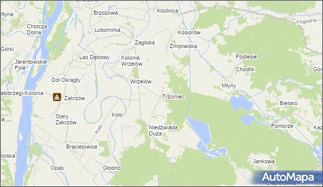 mapa Trzciniec gmina Łaziska, Trzciniec gmina Łaziska na mapie Targeo