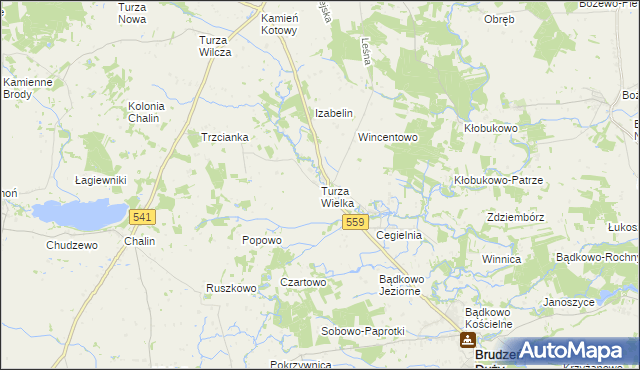 mapa Turza Wielka gmina Brudzeń Duży, Turza Wielka gmina Brudzeń Duży na mapie Targeo