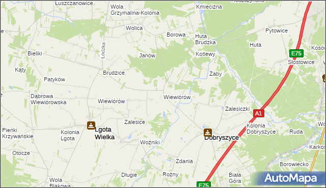 mapa Wiewiórów gmina Dobryszyce, Wiewiórów gmina Dobryszyce na mapie Targeo