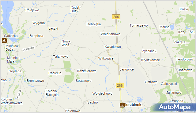 mapa Witkowice gmina Wierzbinek, Witkowice gmina Wierzbinek na mapie Targeo