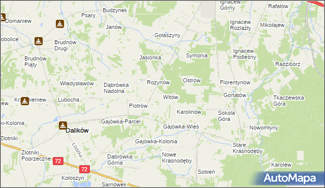 mapa Witów gmina Dalików, Witów gmina Dalików na mapie Targeo