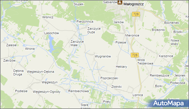 mapa Wygnanów gmina Małogoszcz, Wygnanów gmina Małogoszcz na mapie Targeo