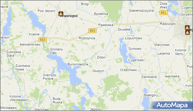 mapa Żłobin, Żłobin na mapie Targeo
