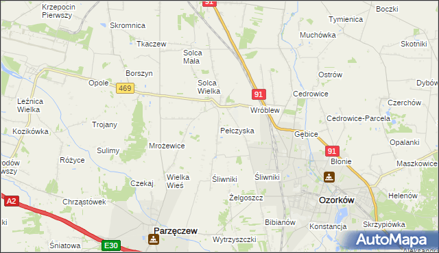 mapa Pełczyska gmina Ozorków, Pełczyska gmina Ozorków na mapie Targeo