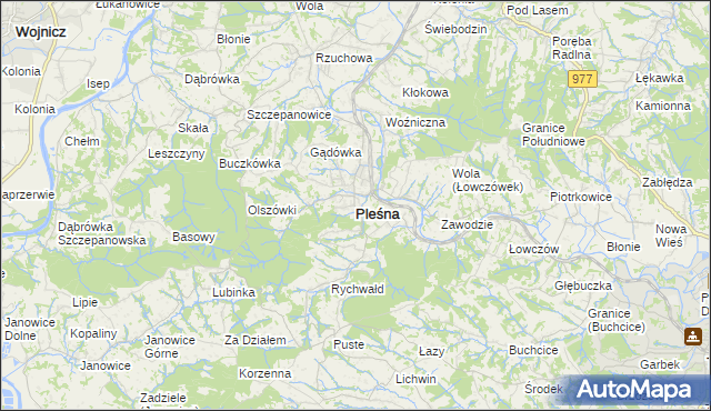 mapa Pleśna powiat tarnowski, Pleśna powiat tarnowski na mapie Targeo