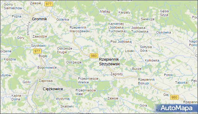 mapa Rzepiennik Strzyżewski, Rzepiennik Strzyżewski na mapie Targeo