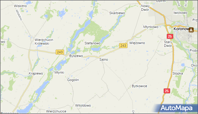 mapa Salno gmina Koronowo, Salno gmina Koronowo na mapie Targeo