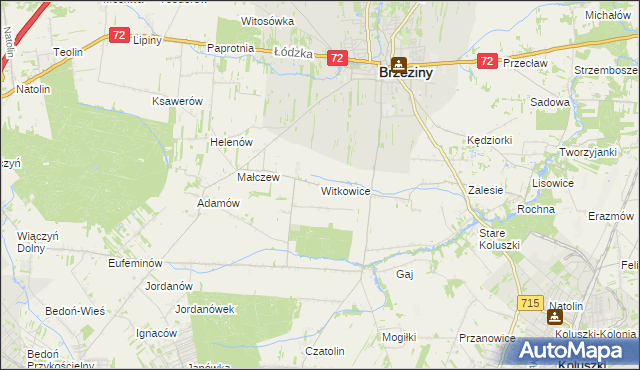 mapa Witkowice gmina Brzeziny, Witkowice gmina Brzeziny na mapie Targeo