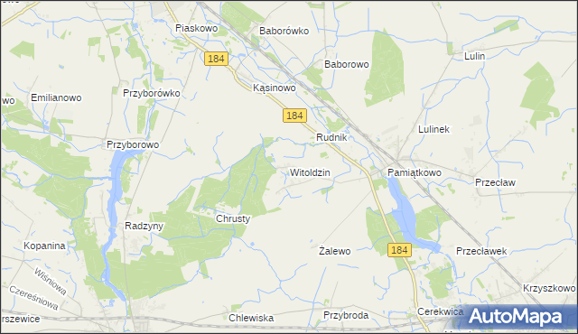 mapa Witoldzin gmina Szamotuły, Witoldzin gmina Szamotuły na mapie Targeo