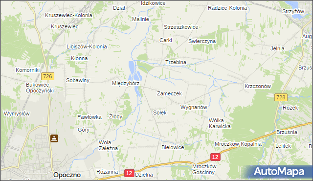 mapa Zameczek gmina Opoczno, Zameczek gmina Opoczno na mapie Targeo