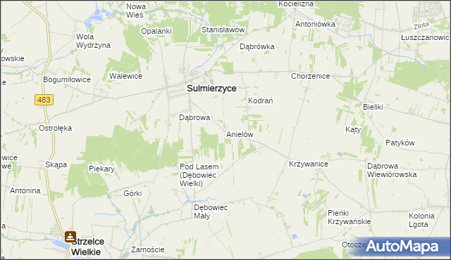 mapa Anielów gmina Sulmierzyce, Anielów gmina Sulmierzyce na mapie Targeo