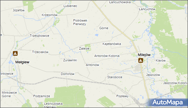 mapa Antoniów-Kolonia, Antoniów-Kolonia na mapie Targeo