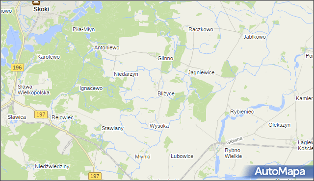 mapa Bliżyce gmina Skoki, Bliżyce gmina Skoki na mapie Targeo
