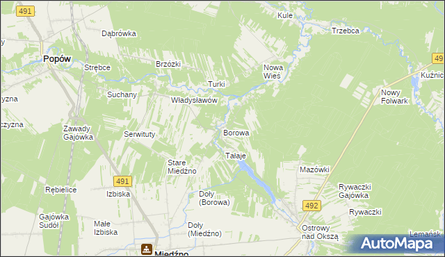 mapa Borowa gmina Miedźno, Borowa gmina Miedźno na mapie Targeo