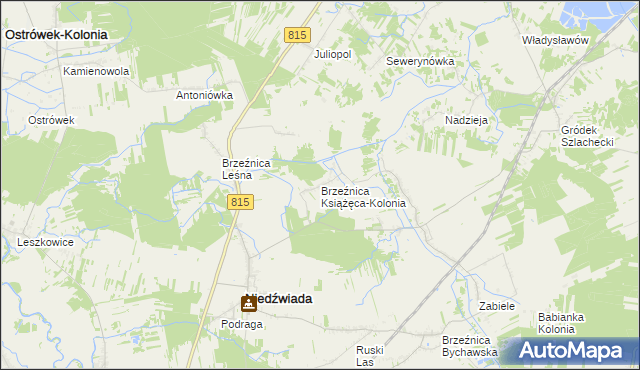 mapa Brzeźnica Książęca-Kolonia, Brzeźnica Książęca-Kolonia na mapie Targeo