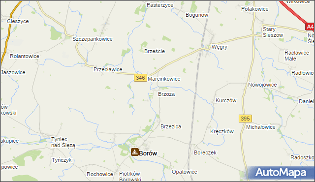 mapa Brzoza gmina Borów, Brzoza gmina Borów na mapie Targeo