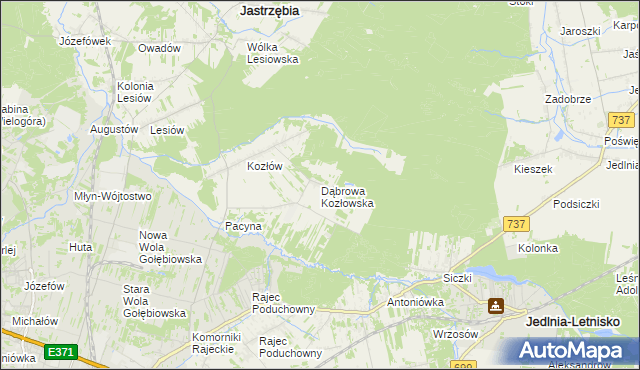 mapa Dąbrowa Kozłowska, Dąbrowa Kozłowska na mapie Targeo