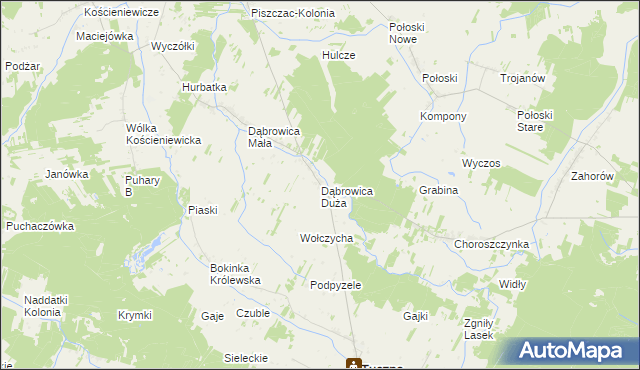mapa Dąbrowica Duża gmina Tuczna, Dąbrowica Duża gmina Tuczna na mapie Targeo