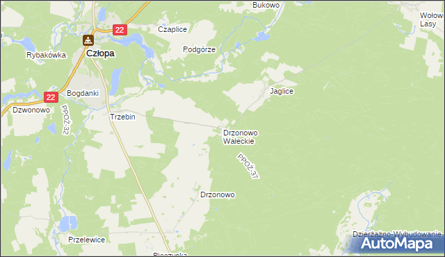 mapa Drzonowo Wałeckie, Drzonowo Wałeckie na mapie Targeo