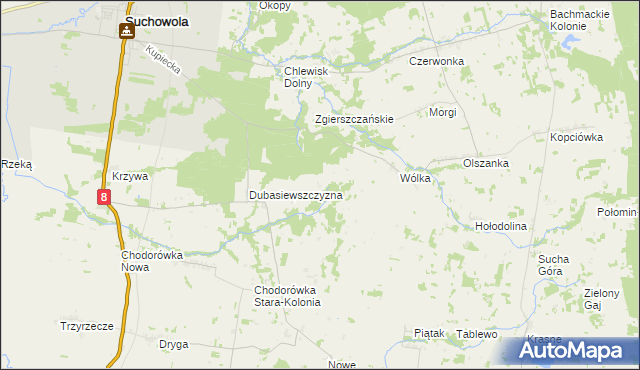 mapa Dubasiewskie Kolonie, Dubasiewskie Kolonie na mapie Targeo