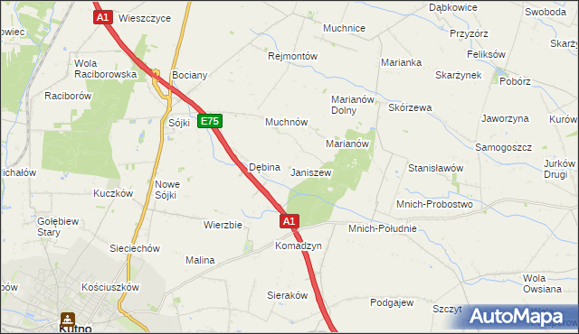 mapa Janiszew gmina Strzelce, Janiszew gmina Strzelce na mapie Targeo