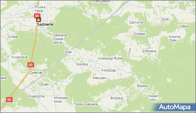mapa Kołodziąż-Rybie, Kołodziąż-Rybie na mapie Targeo
