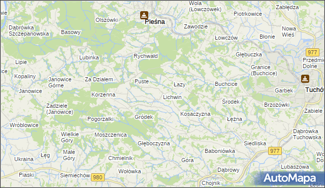 mapa Lichwin gmina Pleśna, Lichwin gmina Pleśna na mapie Targeo