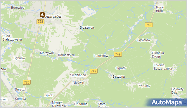 mapa Ludwinów gmina Gowarczów, Ludwinów gmina Gowarczów na mapie Targeo