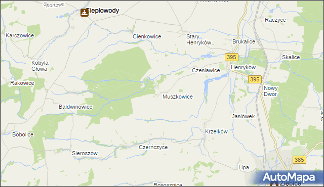 mapa Muszkowice, Muszkowice na mapie Targeo