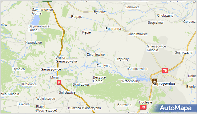 mapa Niedźwice, Niedźwice na mapie Targeo