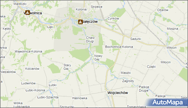 mapa Nowy Gaj gmina Wojciechów, Nowy Gaj gmina Wojciechów na mapie Targeo