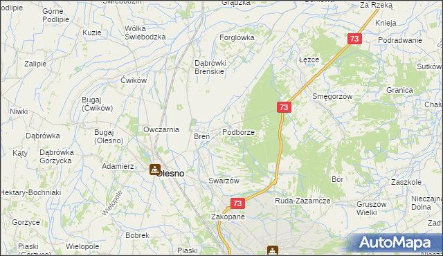 mapa Podborze gmina Olesno, Podborze gmina Olesno na mapie Targeo