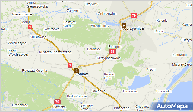 mapa Skrzypaczowice, Skrzypaczowice na mapie Targeo