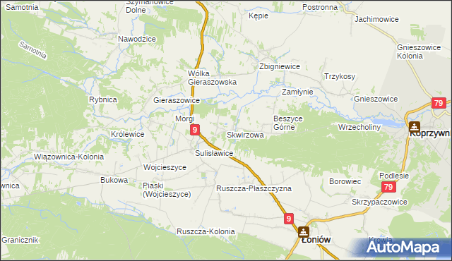 mapa Skwirzowa, Skwirzowa na mapie Targeo