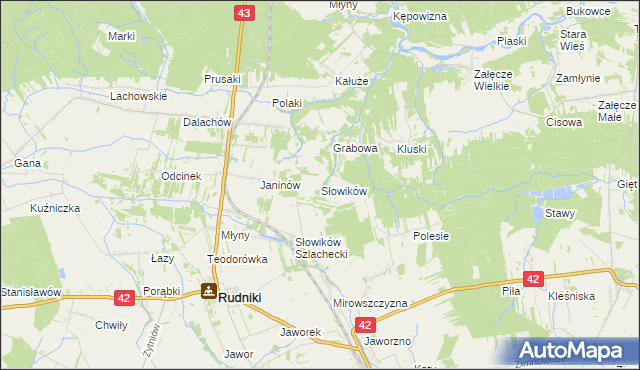 mapa Słowików gmina Rudniki, Słowików gmina Rudniki na mapie Targeo