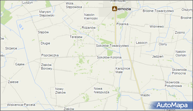 mapa Sokołów-Kolonia, Sokołów-Kolonia na mapie Targeo