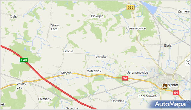 mapa Witków gmina Chojnów, Witków gmina Chojnów na mapie Targeo