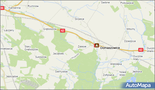 mapa Zalesie gmina Domaszowice, Zalesie gmina Domaszowice na mapie Targeo