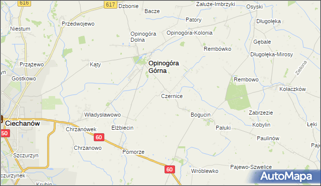 mapa Czernice gmina Opinogóra Górna, Czernice gmina Opinogóra Górna na mapie Targeo
