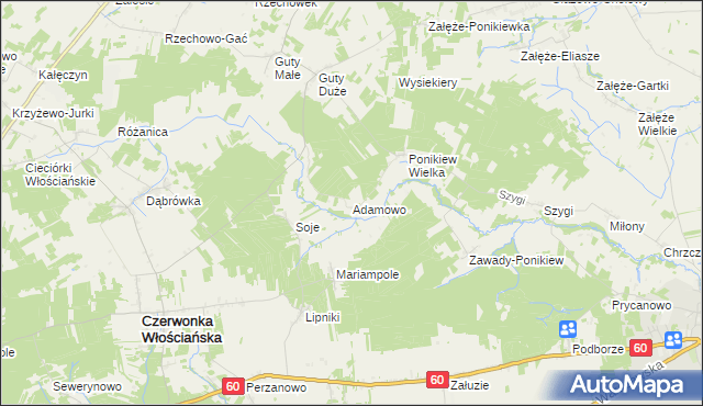 mapa Adamowo gmina Czerwonka, Adamowo gmina Czerwonka na mapie Targeo