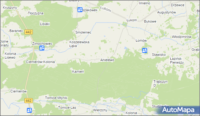mapa Anielewo gmina Zagórów, Anielewo gmina Zagórów na mapie Targeo