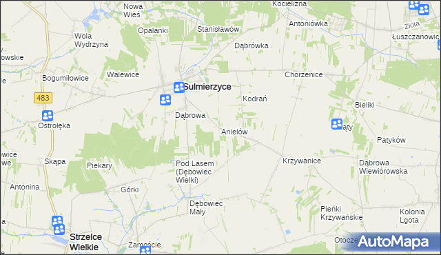 mapa Anielów gmina Sulmierzyce, Anielów gmina Sulmierzyce na mapie Targeo